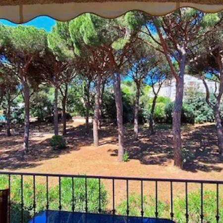 Pinede Azur Apartment *